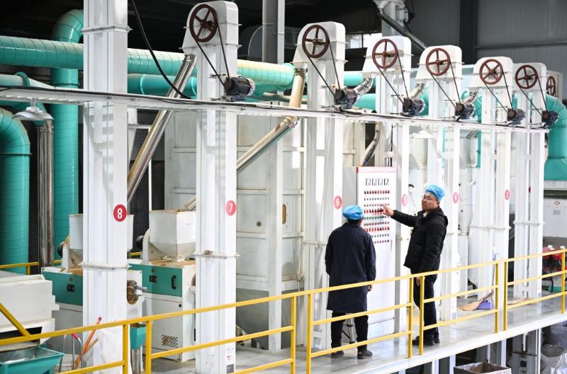 33335 33335